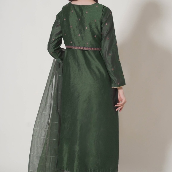 Pakistani Dress - Picture 2 of 4